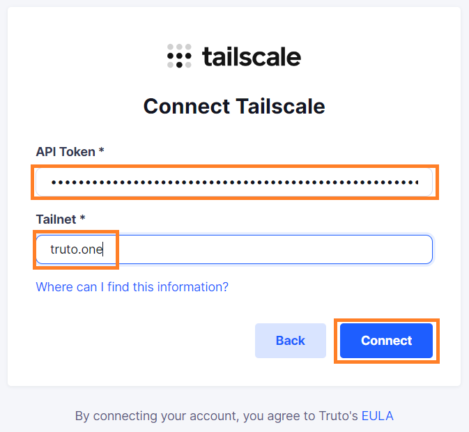 'Tailscale API Token and Tailnet'